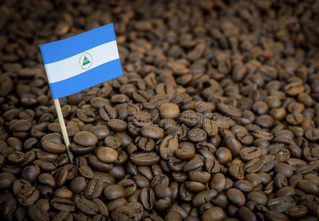 Nicaragua Coffee Bean