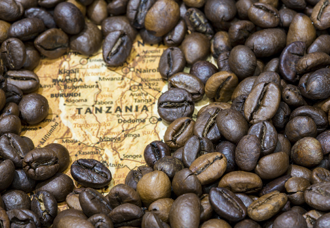 Tanzania Peaberry Coffee Bean