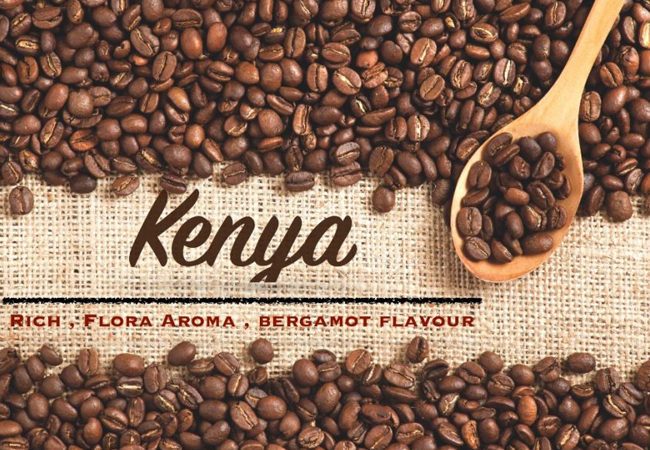 Kenya AA Coffee Bean