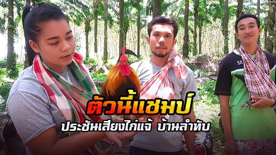 ชาวบ้านลำทับ จัดแข่งขันไก่แจ้ต้านภัยยาเสพติด