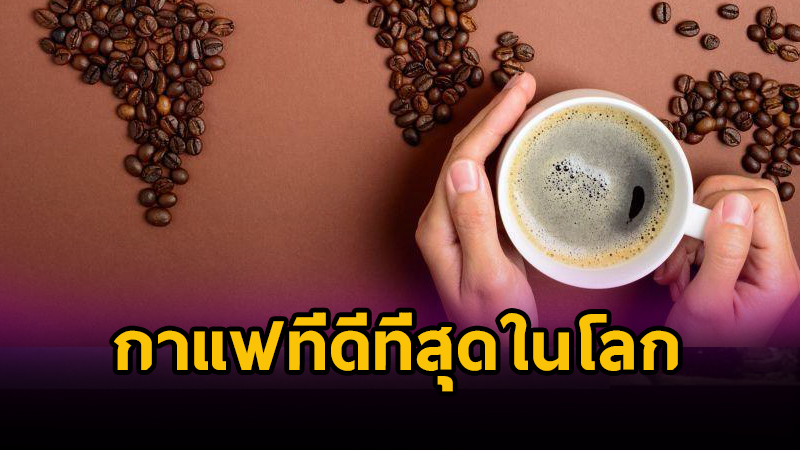 กาแฟ ที่ดีที่สุดในโลก